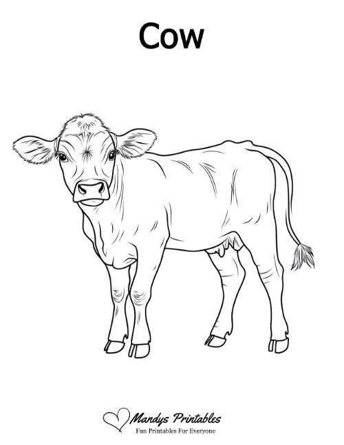 cow outline