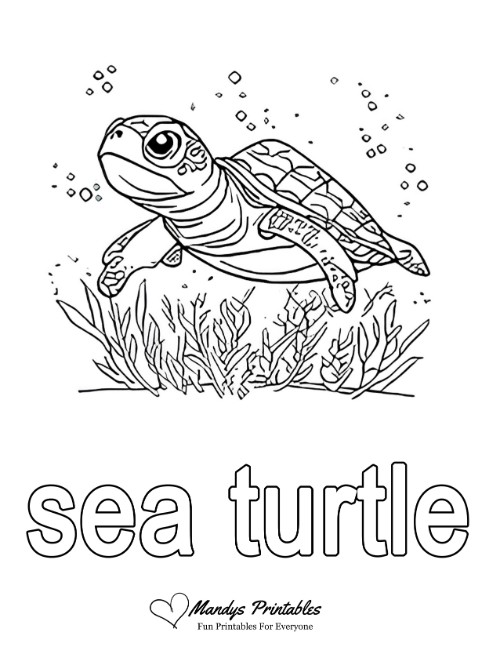 sea turtle coloring page