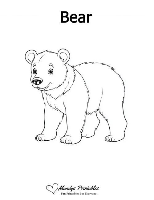 bear outline