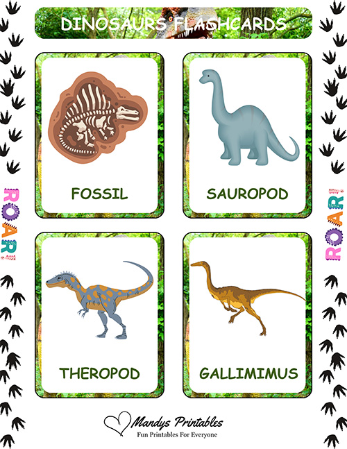 dinosaur flashcards