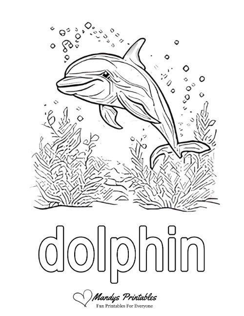 dolphin coloring page