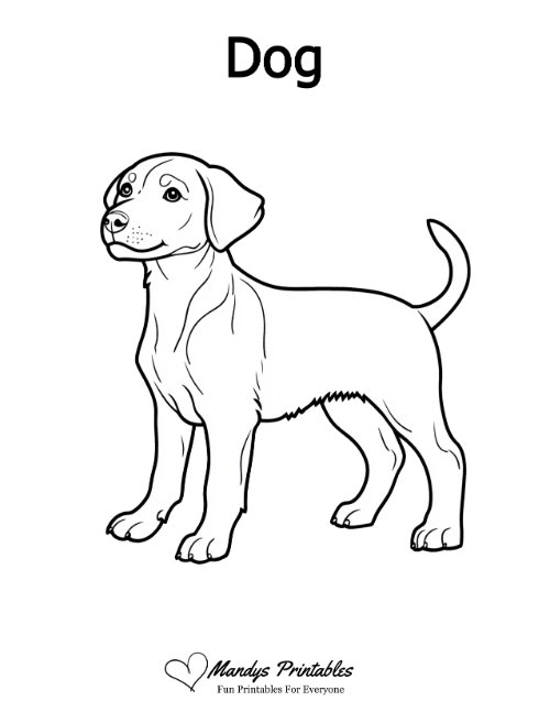 dog outline