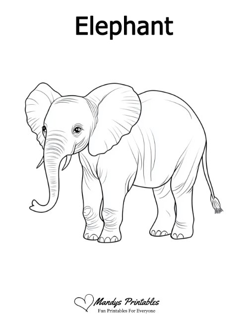 elephant outline