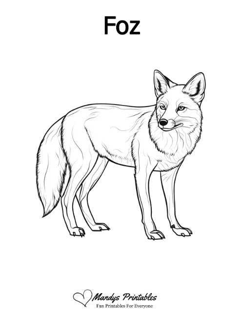 fox outline