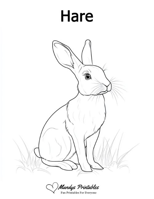 hare outline