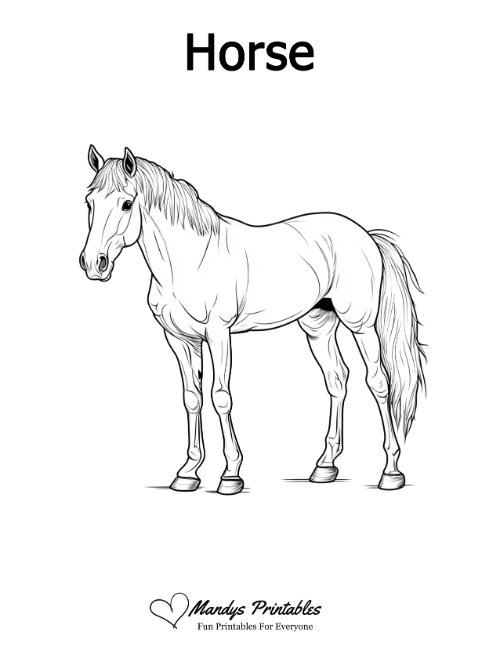 horse outline