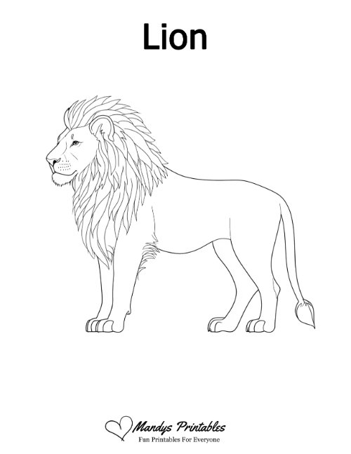 lion outline