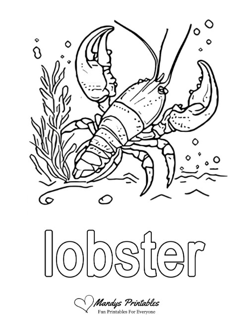 lobster coloring page