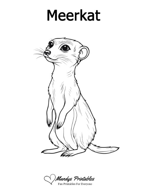 meerkat outline