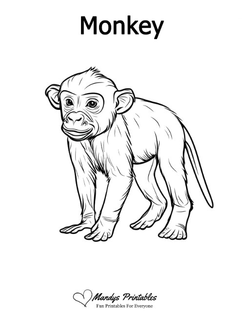 monkey outline