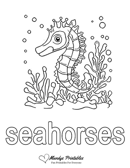 seahorse coloring page