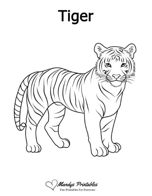 tiger outline