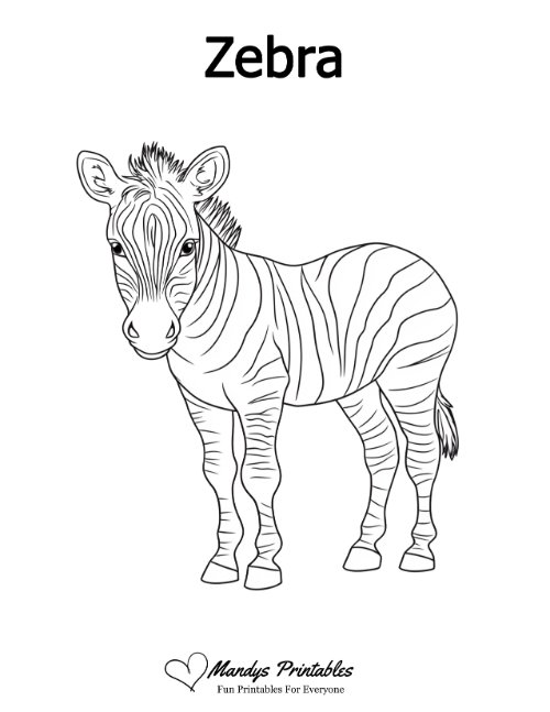 zebra outline