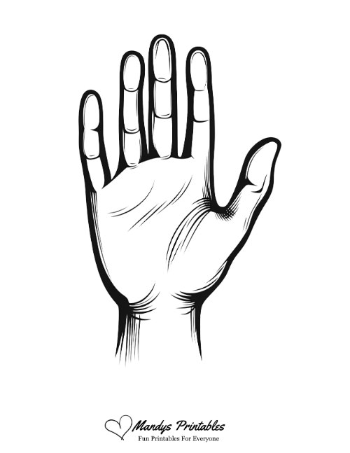 a black and white drawing of a hand