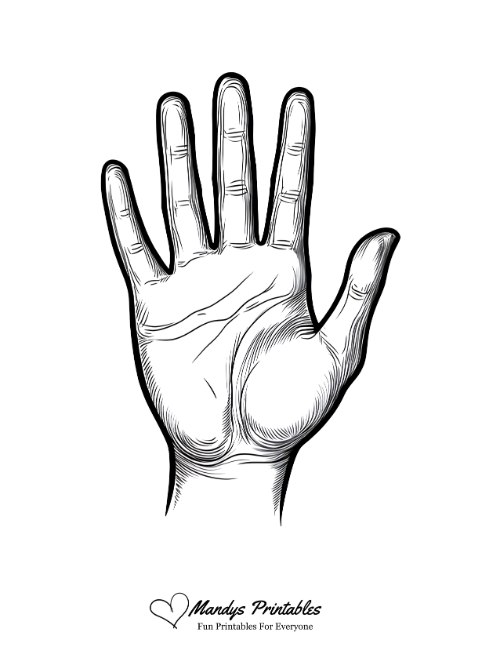 a hand with palm up