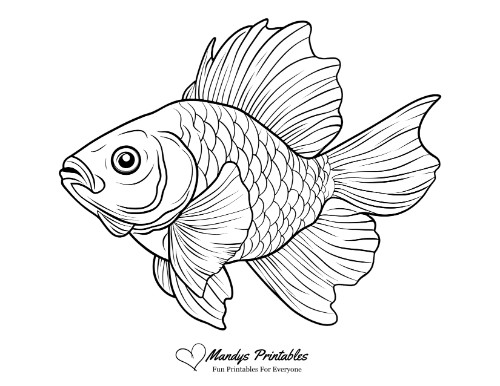 printable fish pictures