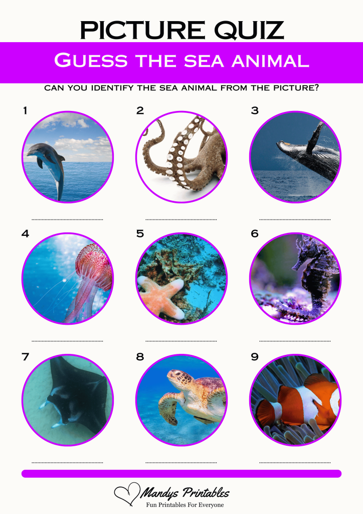 guess the sea animal quiz