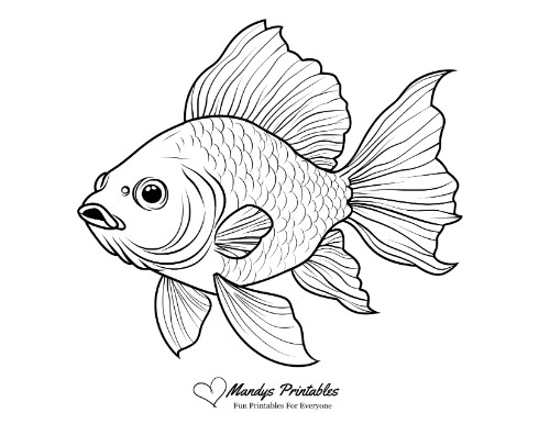 fish pictures to print free