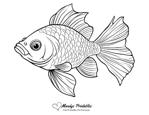 fish pictures to print free