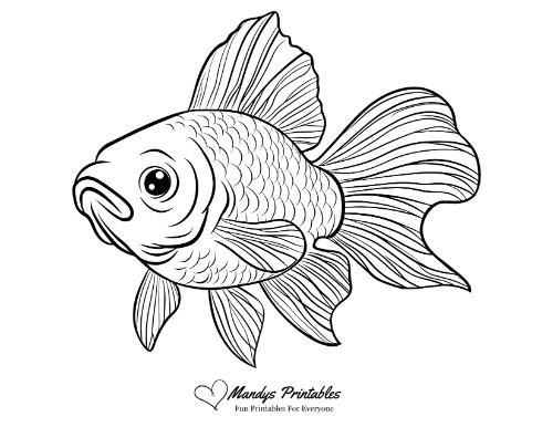 fish pictures to print free