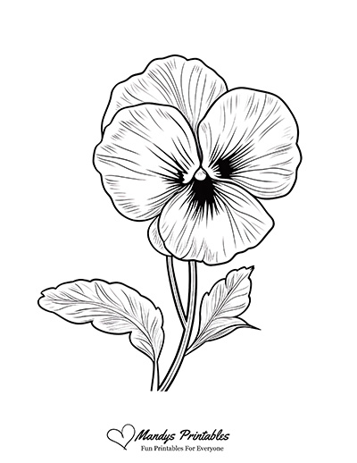 Pansy Outline Template