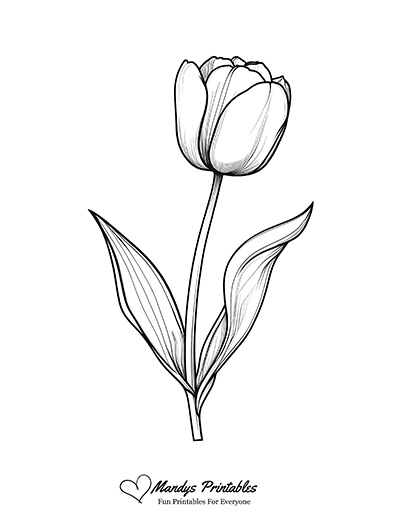 Tulip Outline Template