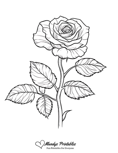 Rose Outline Template